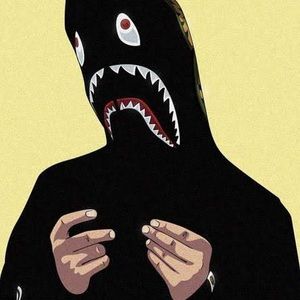 Meet your Posher, Bradley Ray